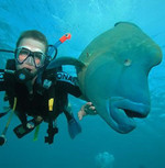Tourism Great Barrier Reef Australia Tourism Great Barrier Reef Australia